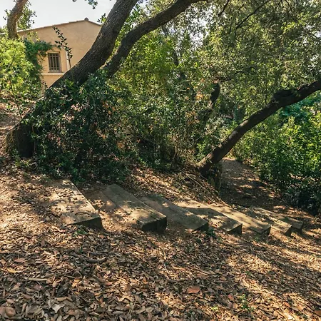 Maxime 别墅 圣马克西姆