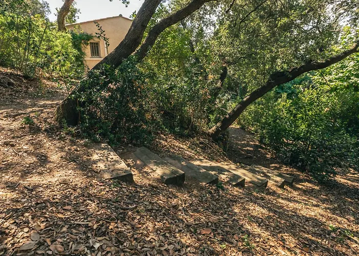 Maxime Willa Sainte-Maxime